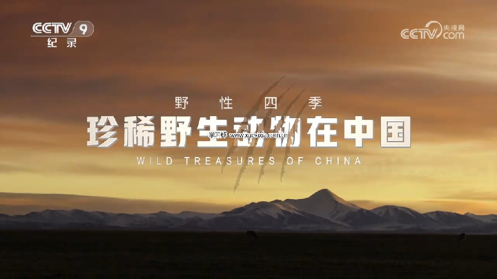 央視紀(jì)錄片《野性四季：珍稀野生動物在中國》全5集百度網(wǎng)盤下載